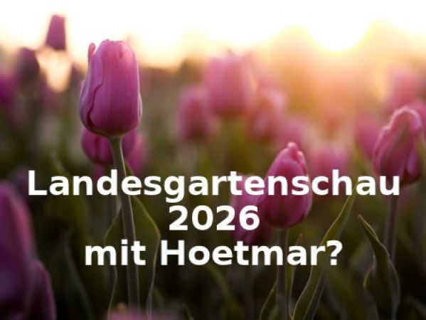 Tulpenfeld mit der Frage Landesgartenschau mit Hoetmar 2026?